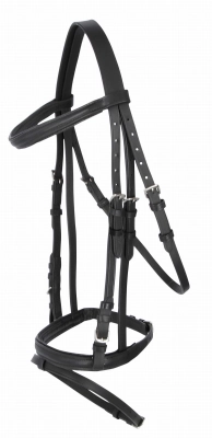 e6cc910b15842dd6fdfd4dad7e24675d