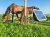 Elektryzator solarny TITAN S 4200, dla koni, bydła, owiec i kóz, 3,0 J, Kerbl