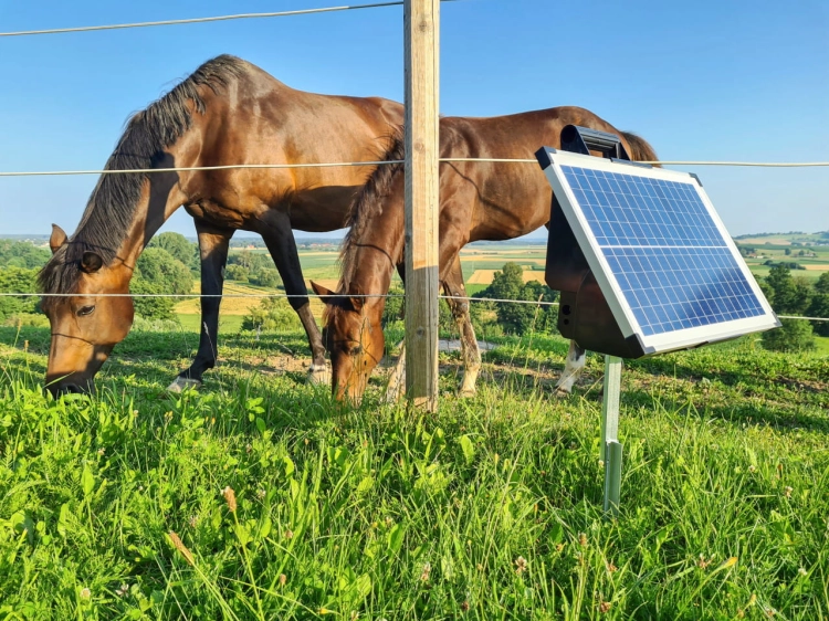 Elektryzator solarny TITAN S 4200, dla koni, bydła, owiec i kóz, 3,0 J, Kerbl
