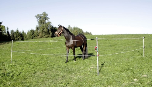 03c690c499808a225b6be2e68cc6f751