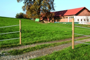 Elektryczna brama dla bydła, 5 m, zestaw, Kerbl