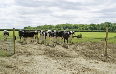 05acc6acca3078e58e84906c8a1c425b