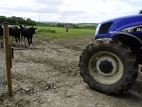 3e66f8328545499fad468ca5001c69ca