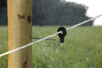 82f678a2a4f63355b5efd54bba6237ae