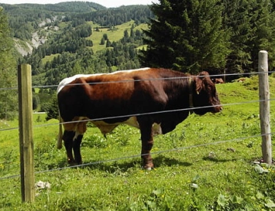 1566559159c2f613d175702959dbad08