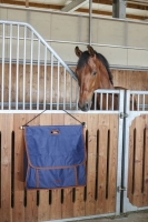 907ed97baaa3099f12a7059babd335b4