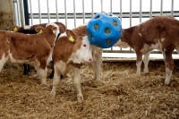 f76481580889873dd9f154118118abc9