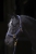 d411b42a314d7cf928847f2f7460ec51