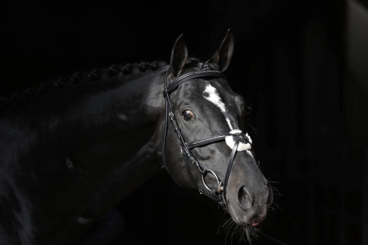 c870b6d405328dcf6f8c6745625dbc44