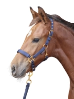 936e42538abd3de240fc3b1e026fdfe0