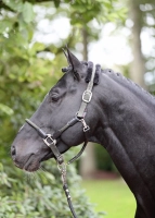 c27a36ca590df9c1b978ae18740ac09c