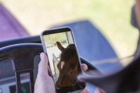 50d5674201df91a0d5f32d18568cd59c