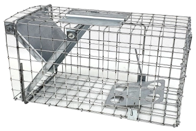 c8c643c396e20cda180c2bb532a8255b