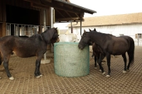 242cc9c82fc139f37680dc326063b32f