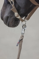 f5717bdc5e9789470f1fbbc35000eaa7