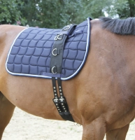 d1d2cc969158d74ad87c9afb4ed4298a