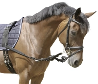 e6f3399c93e9e6ba3ba6a9513a515cd2