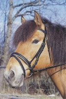 3998e952b4846d99eeefb9cf9bf9b560