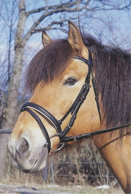 3998e952b4846d99eeefb9cf9bf9b560