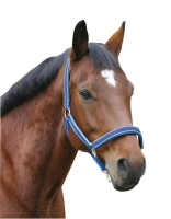 570d3e6d30224eb7b85945c919fde795