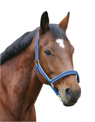 570d3e6d30224eb7b85945c919fde795