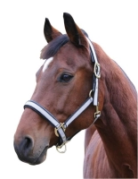 9d1be07b97299ec93e908ee595a93690