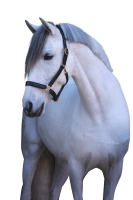 5477fbdc4344c27dac5f03e1398db9ea