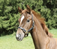 265618cf5090490f0ee124babd0bbb2d