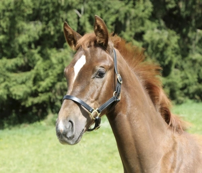 265618cf5090490f0ee124babd0bbb2d