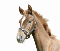 d3f0302ba0a2e5f750c26bbbf59b76e9