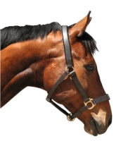 16b1d4860b8622855208fc84d77d9236