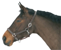 2c813efda3d982c2d86c9e1a2d326033