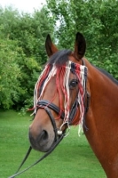 7b51ba34ba482cee290959ed93c9349a