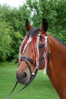 7b51ba34ba482cee290959ed93c9349a