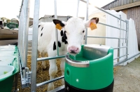 Poidło podgrzewane LAKCHO, 24V/80W, La Buvette