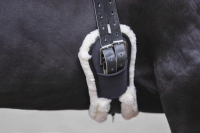 d365d1333837c4431e84c14e3e9a76c2