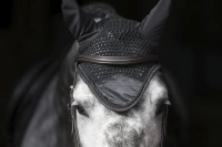 eb4aed1e3e5436e4b135e92dda8b4627