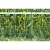 siatka-profi-do-ochrony-przed-dzikami-50m (2).jpg