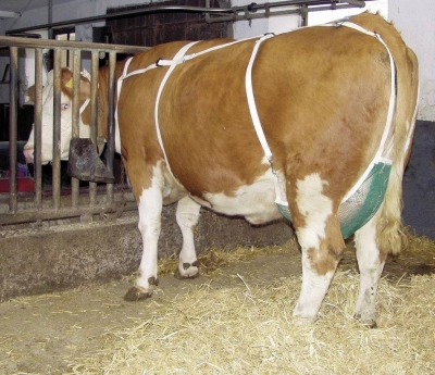 8039ed66d9bab0d109c77371cda280af