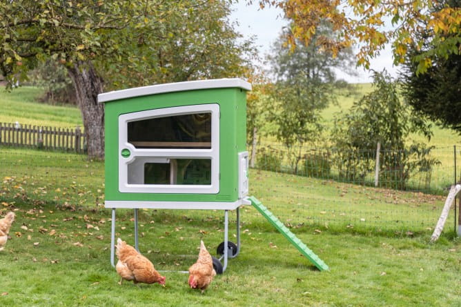 Mobilny domek Kerbl dla kur Mobile Coop 120 x 105 x 166,5 cm tworzywo sztuczne