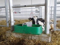 Poidło dwukomorowe CLEANO-BAC, La Buvette.jpg