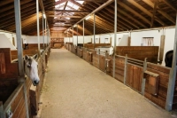 Kamera monitorująca IPCam 360FHD mini, Kerbl