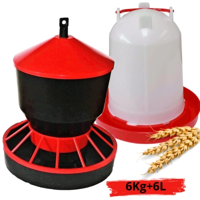 Poidło + karmnik dla drobiu kaczek gęsi kur 6l +6 kg