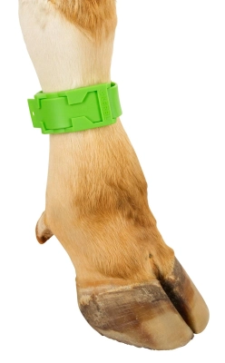 ca4e0ee79a3bd7aea5aec349a84ba7fb