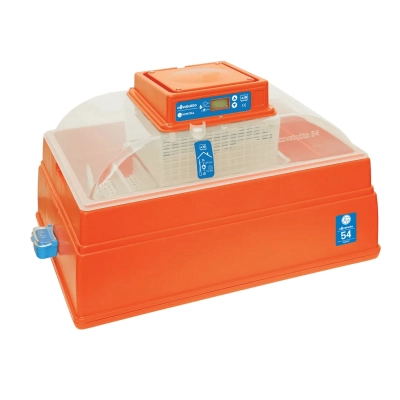 Inkubator do jaj Covatutto 54 Digital, Novital