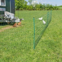 Siatka elektryczna dla drobiu pastuch elektryczny 50 m/110 cm
