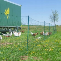 Siatka elektryczna dla drobiu pastuch elektryczny 50 m/110 cm