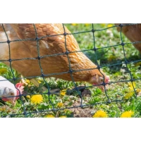 Siatka elektryczna dla drobiu pastuch elektryczny 50 m/110 cm