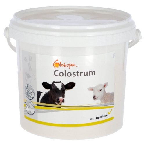 Dodatek do siary Globigen Colostrum, 1 kg, EW Nutrition