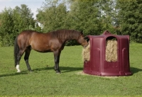 Przejdź na początek galerii Paśnik na baloty, dla cieląt i koni, 5 stanowisk, burgundowy, Kerbl